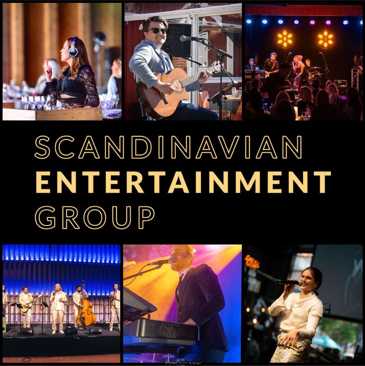 scandinavian entertainment-2